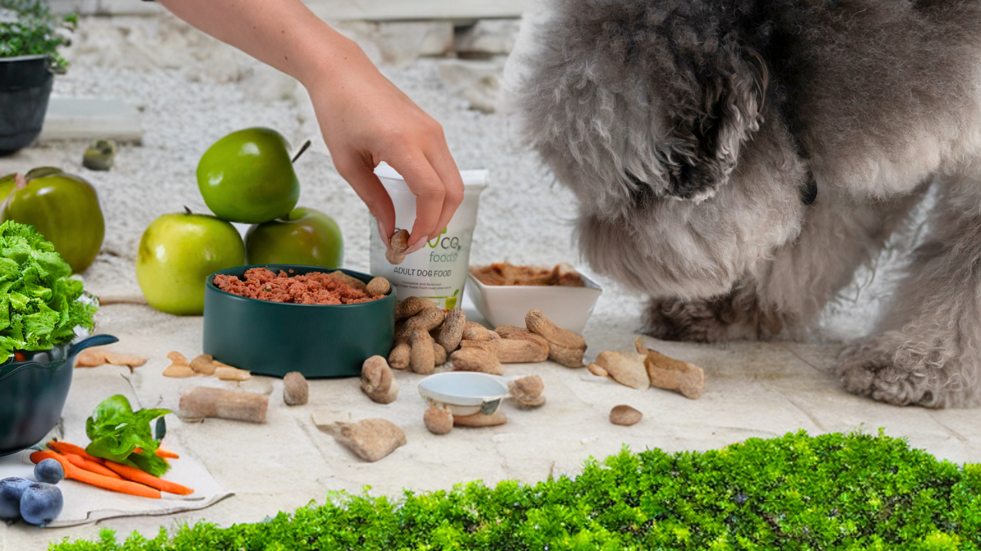 Illustration of Grazing Requirement For Dog Health