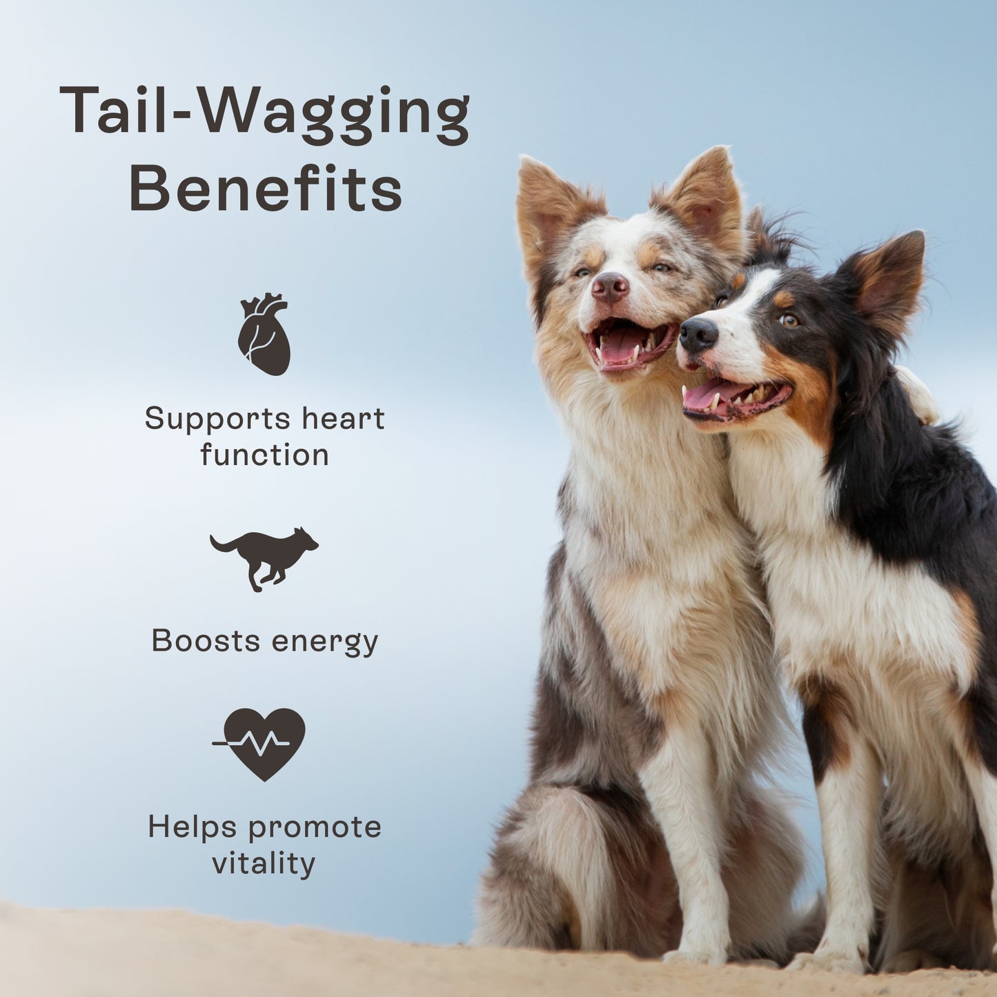 PawCo Magic Topper support heart function, boosts energy, and helps promote vitality