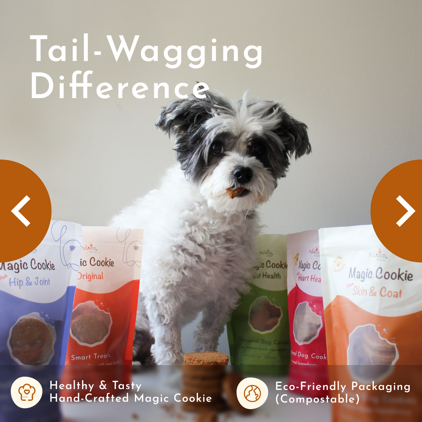 Magic Cookie – Skin & Coat