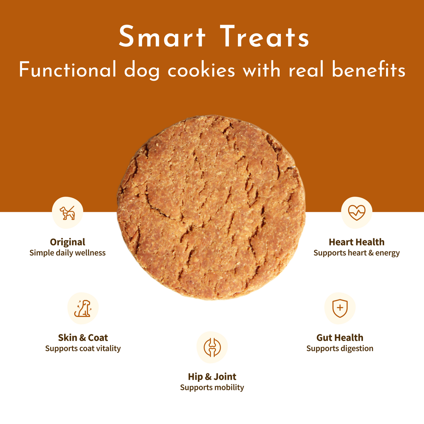 Magic Cookie – Skin & Coat