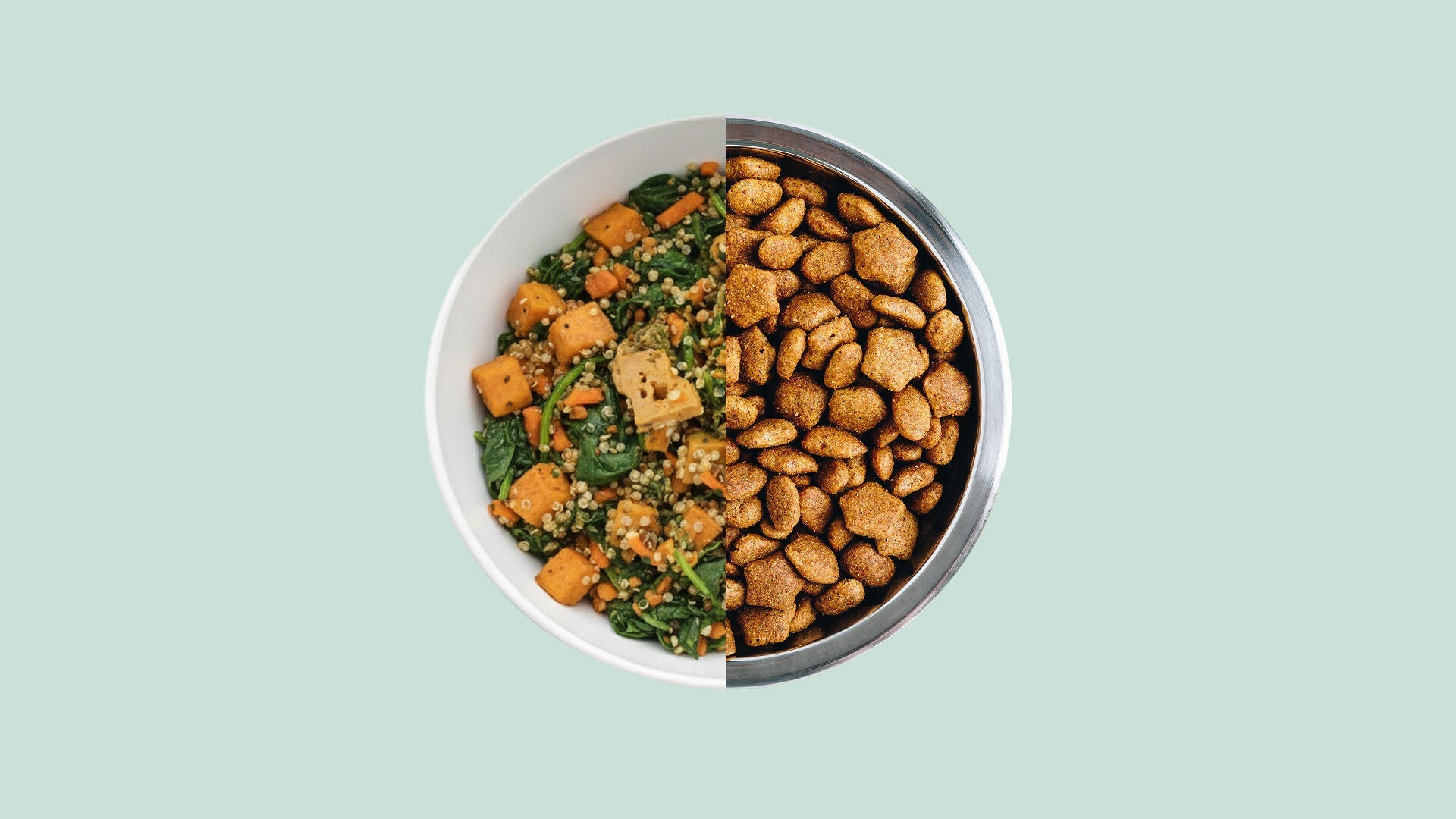 4 Benefits of Feeding Fresh Over Kibble