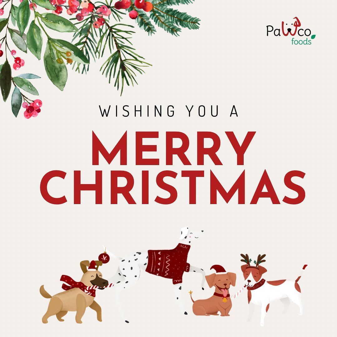 How To Help Your Dog Enjoy the Holidays