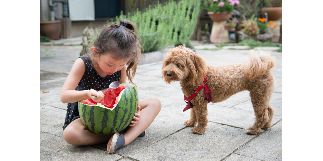 World Vegetarian Day & Vegetarianism Awareness Month Are Here!