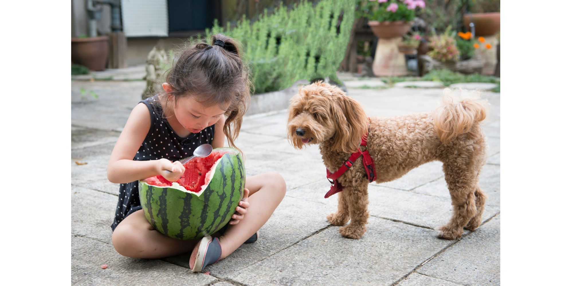 World Vegetarian Day & Vegetarianism Awareness Month Are Here!