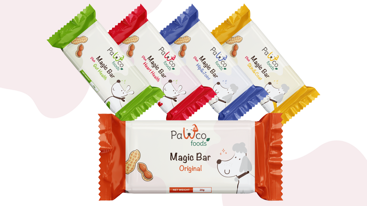 Introducing the Magic Bar: For Easy, Healthy Snack Times
