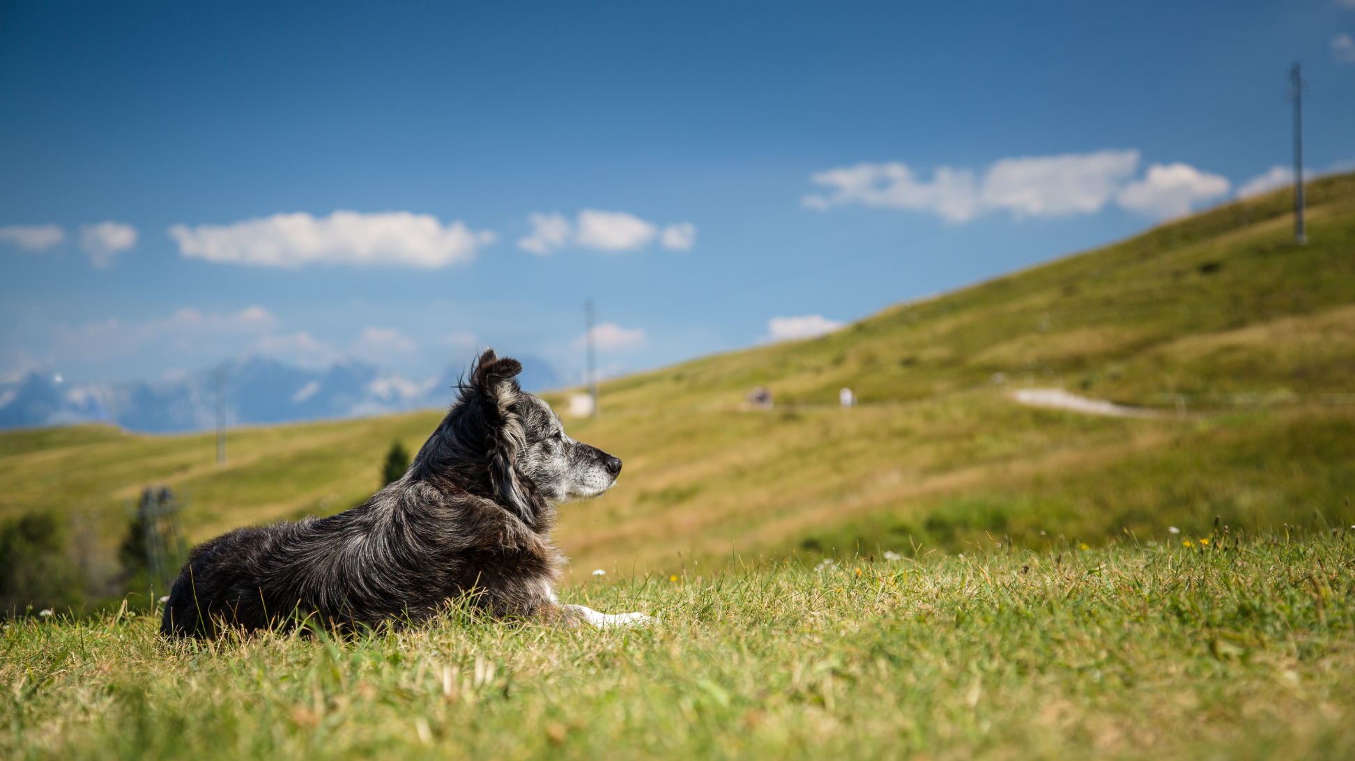 PawCo’s Environmental Claims: How We Measure Our Impact