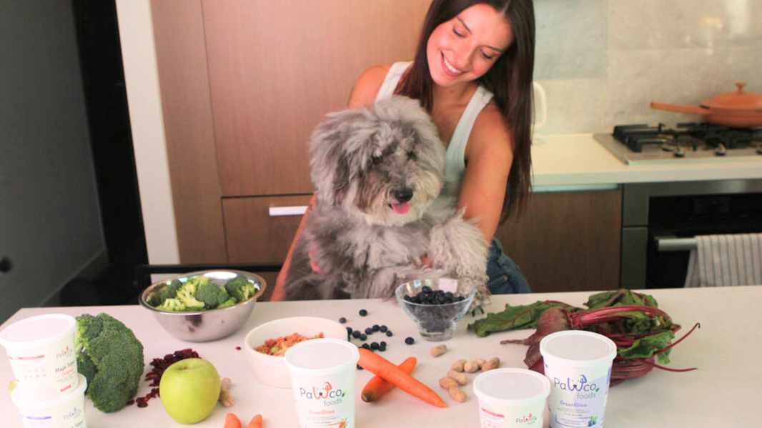 Flexitarian & Hybrid Feeding for Healthier Dogs & Sustainability