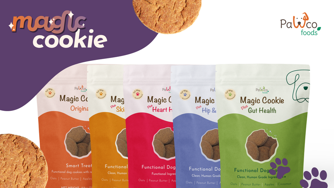 Meet Magic Cookie: The Crunchy, Functional Treat Your Dog Will Beg For