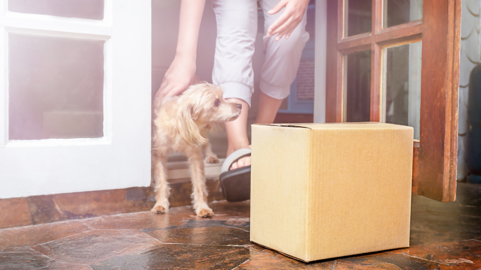 Best Dog Food: Top Healthy and Convenient Delivery Services in 2026