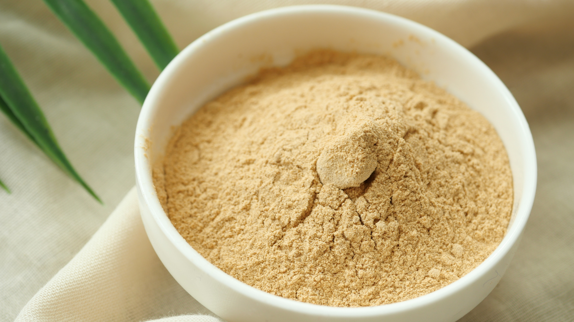 Ingredient Spotlight: Brewer’s Dried Yeast