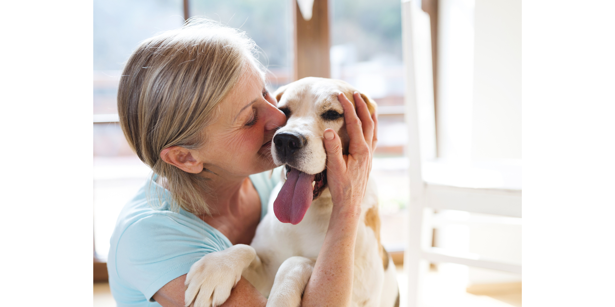 Were Pets a Pandemic Impulse Purchase?