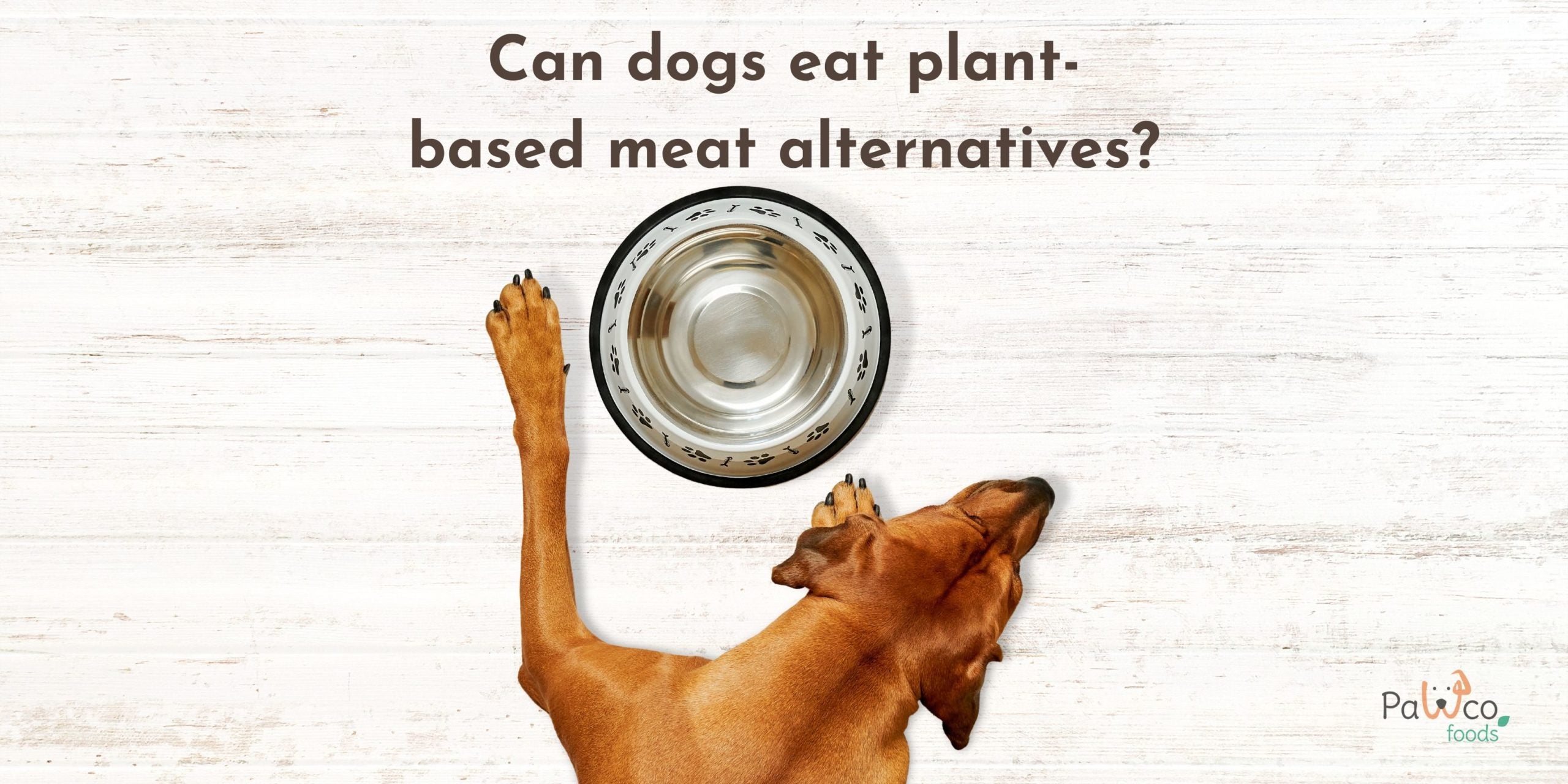 Can Dogs Eat Beyond Meat and Impossible Foods?