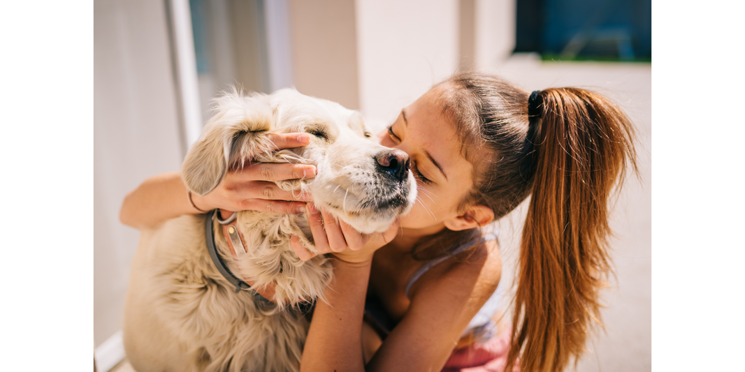 Learn How to Communicate with Your Dog!