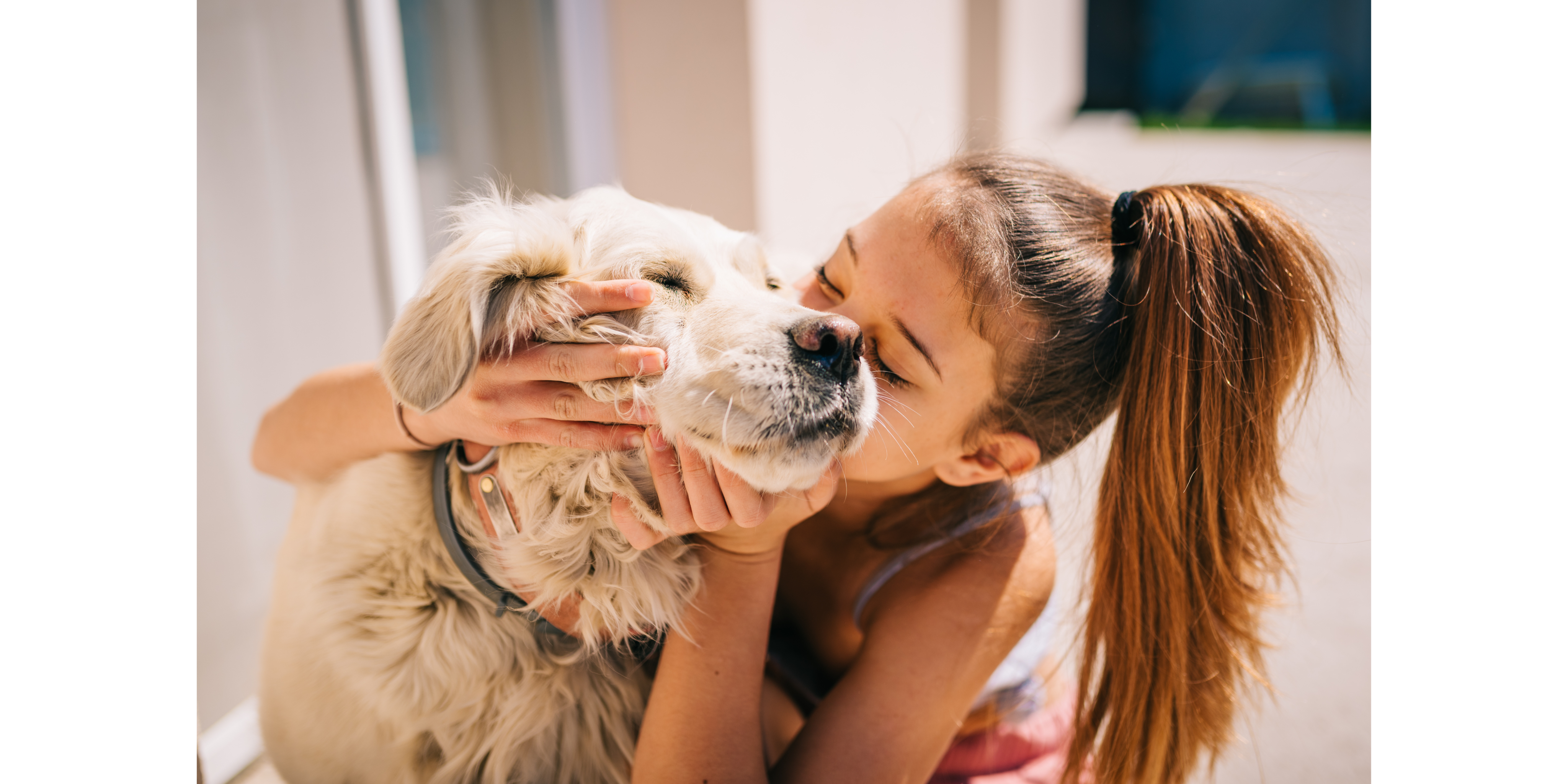 Learn How to Communicate with Your Dog!