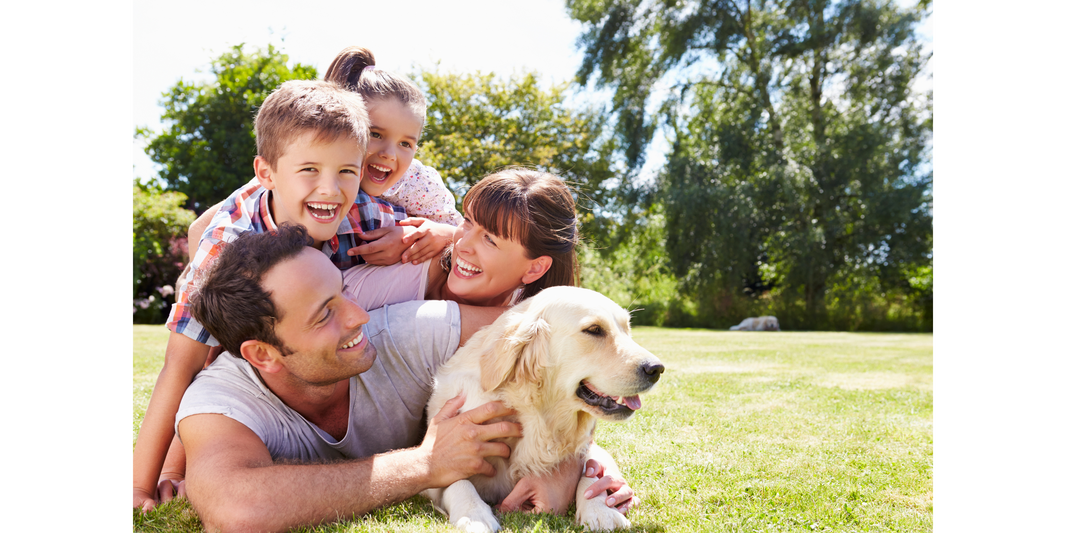 The Science Behind the Human-Canine Bond