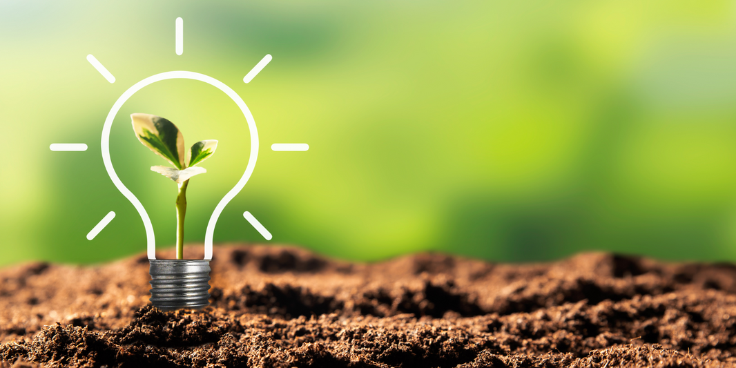 The Best Climate Investment? Plant-Based Meat!