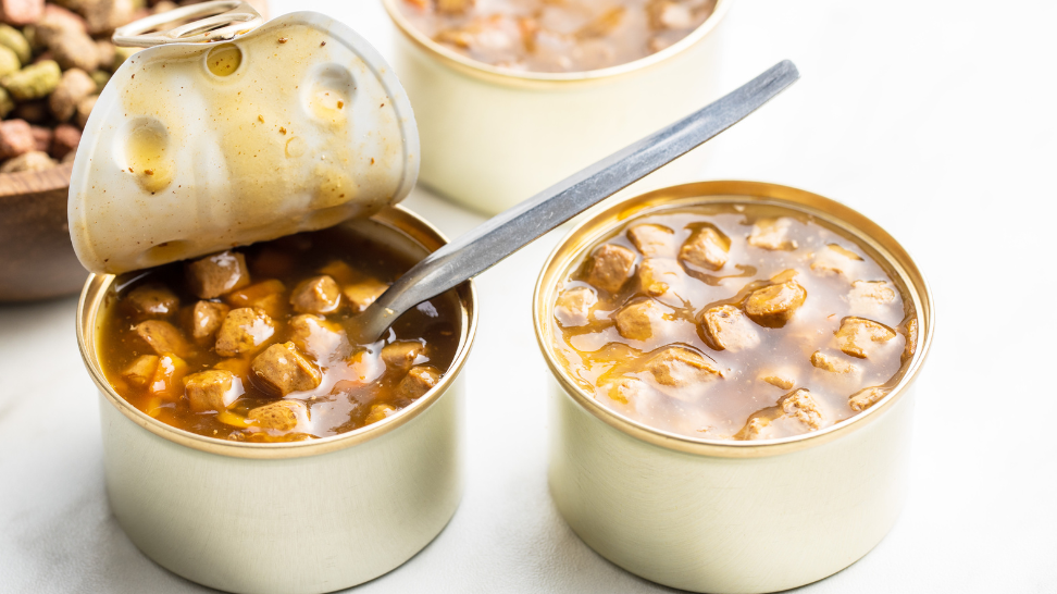 What’s the Difference Between Canned and Fresh Dog Food?