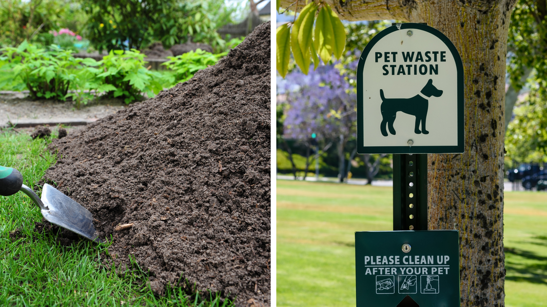 Reducing Your Dog’s Environmental Pawprint Through Composting