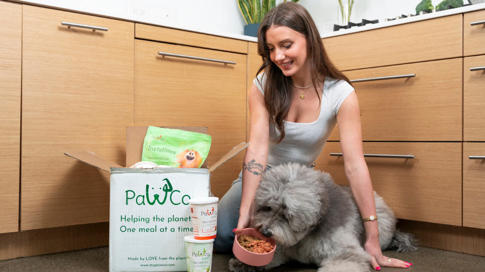 The Science and Research on Vegan Dog Food and Its Benefits