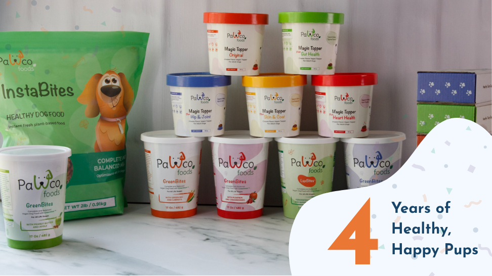 PawCo Turns 4: A Year of Big Wins, Bold Moves, and Better Food for Every Dog