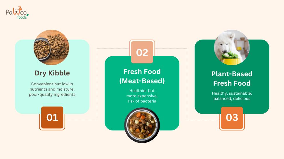 Plant-Powered Pups: The History of Vegan Dog Food