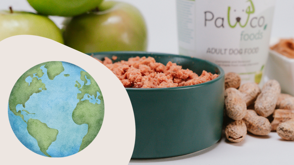 Earth Day: Embracing Sustainability with PawCo's Vegan Dog Food