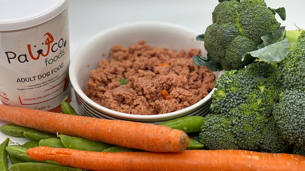 How PawCo Uses AI to Revolutionize Dog Food