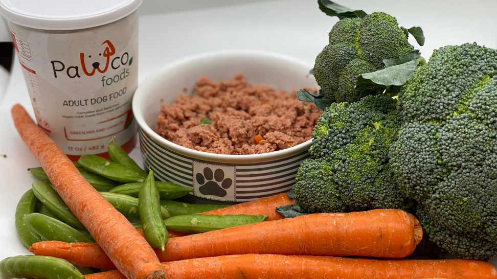 The Top 10 Vegan Ingredients Your Dog Will Love