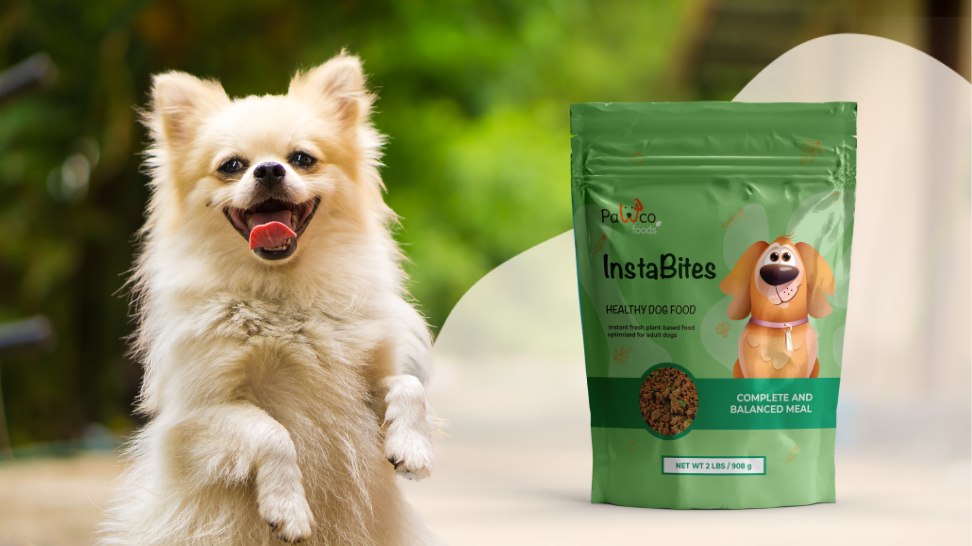 InstaBites™ vs. Kibble: A Healthier Choice for Your Dog