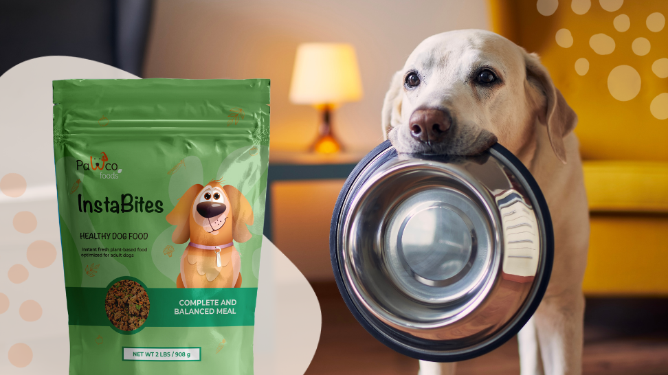 Quick, Healthy, Plant-Based: Discover PawCo's InstaBites for Dogs