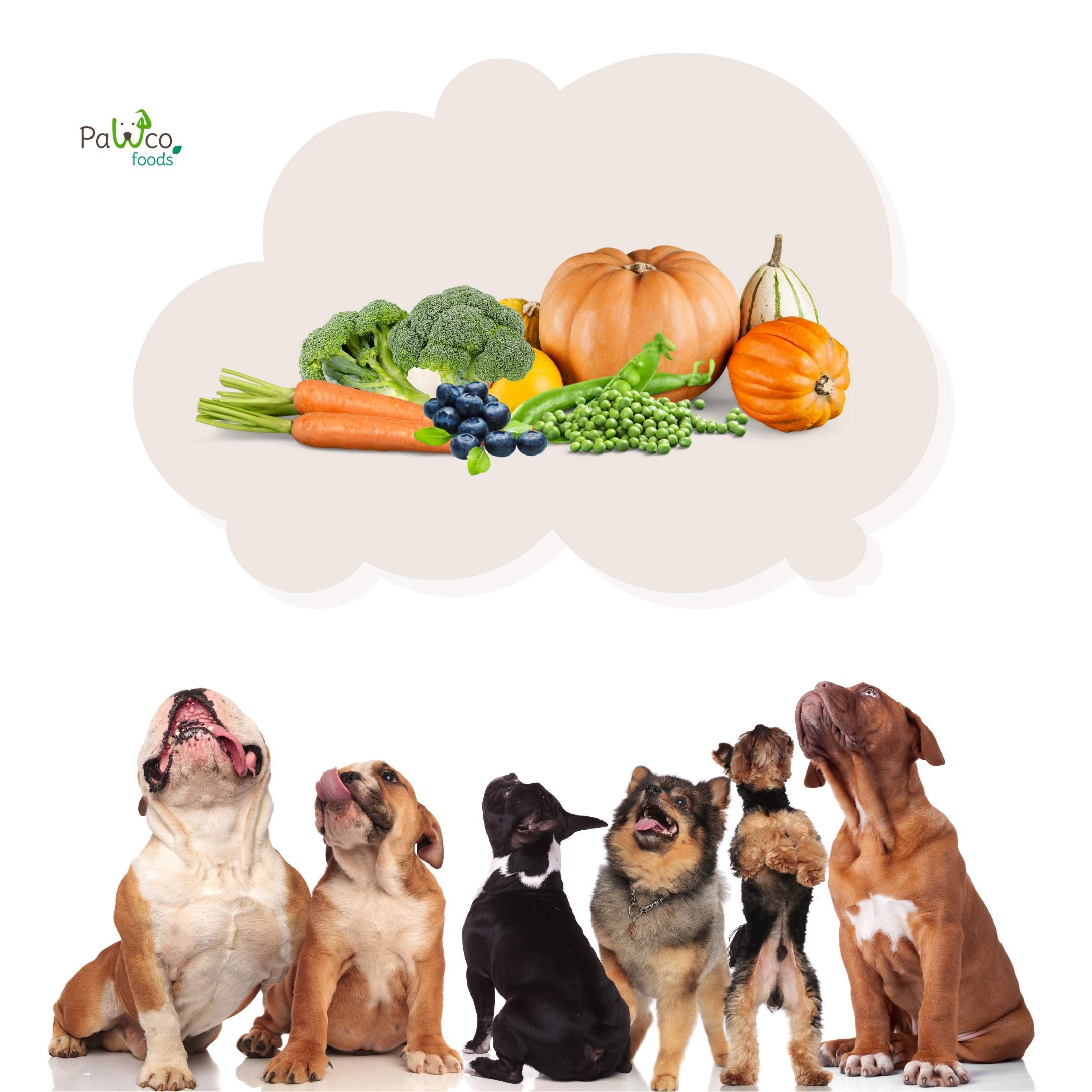 Did You Know Dogs Have Different Palates And Enjoy Different Flavors?