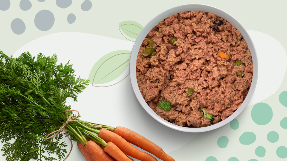 PawCo's Vegan Edge: Comparing Top Dog Food Brands