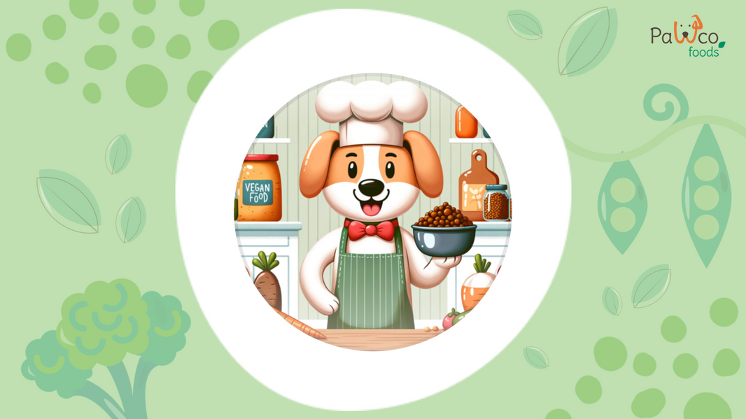 Meet PawCo Paco – Your Vegan Dog Food Expert