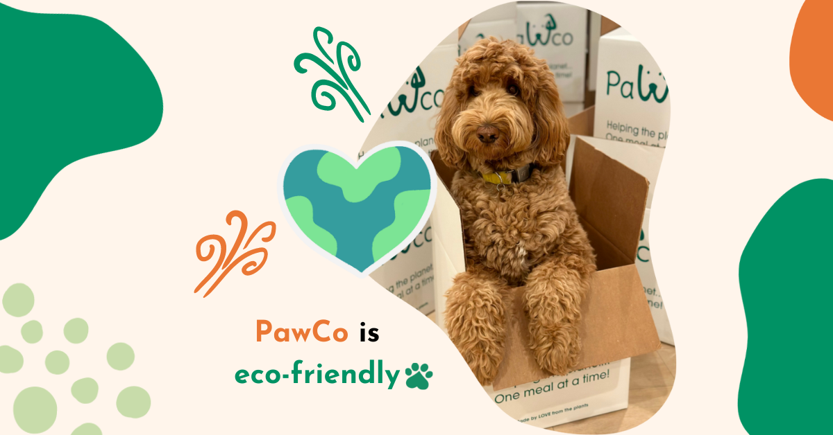 PawCo's Vegan Dog Food Is Eco-Friendly!