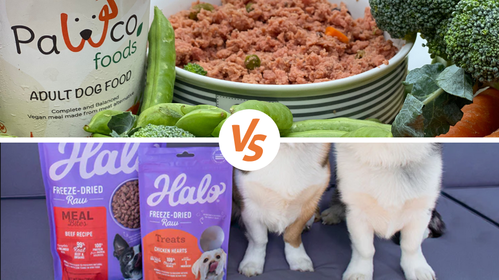 Halo Alternative: PawCo’s Fresh Vegan Dog Food