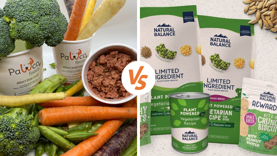 Natural Balance Alternative: PawCo's Vegan Dog Food