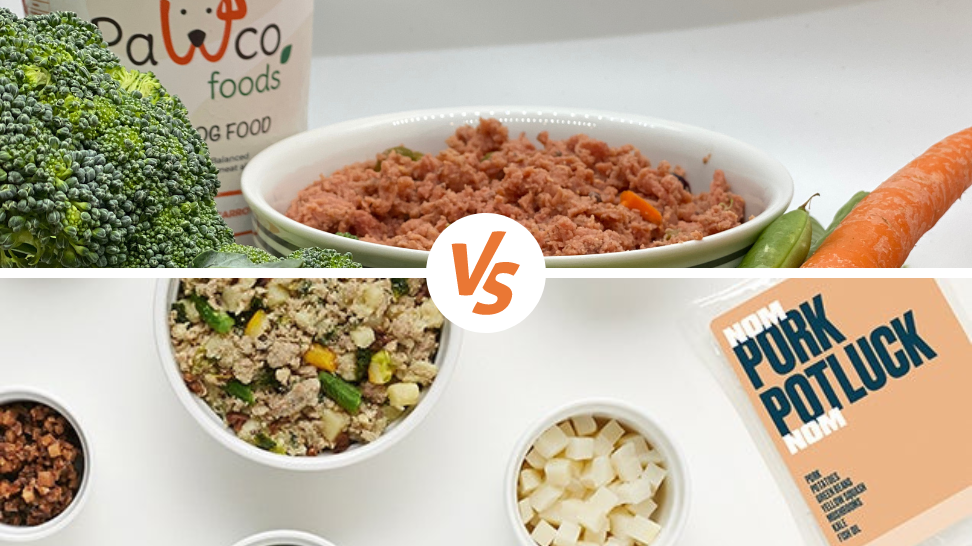 NomNom Alternative: PawCo's Fresh Vegan Dog Food