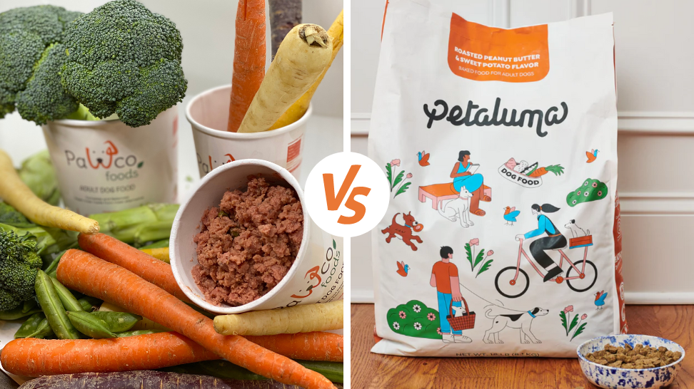 Petaluma Alternative: PawCo's Fresh Vegan Dog Food