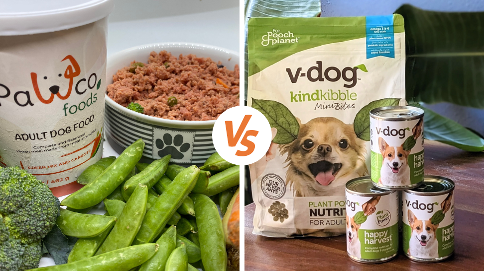 V-Dog Alternative: PawCo’s Fresh Vegan Dog Food