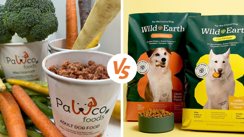Wild Earth Alternative: PawCo's Fresh Vegan Dog Food