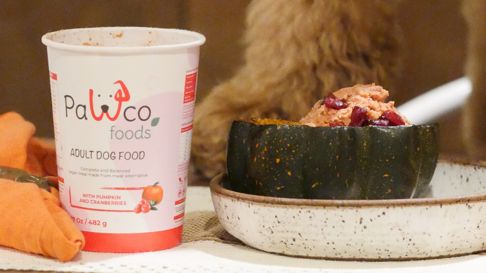 Pumpkin for Dogs: Why This Fall Favorite Deserves a Spot in Their Bowl
