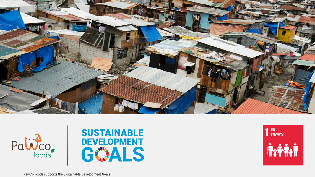 PawCo and Sustainable Development Goal 1: No Poverty
