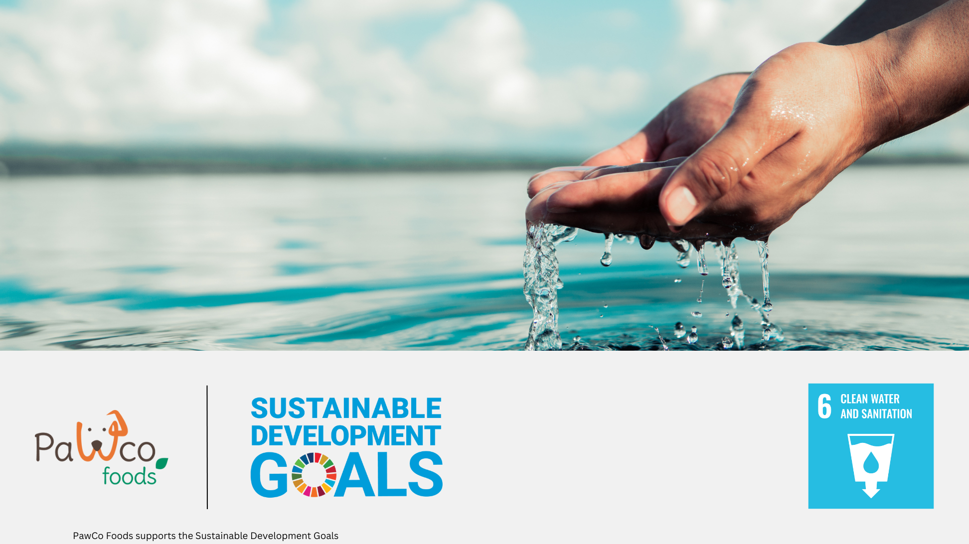 PawCo & Sustainable Development Goal 6: Clean Water & Sanitation