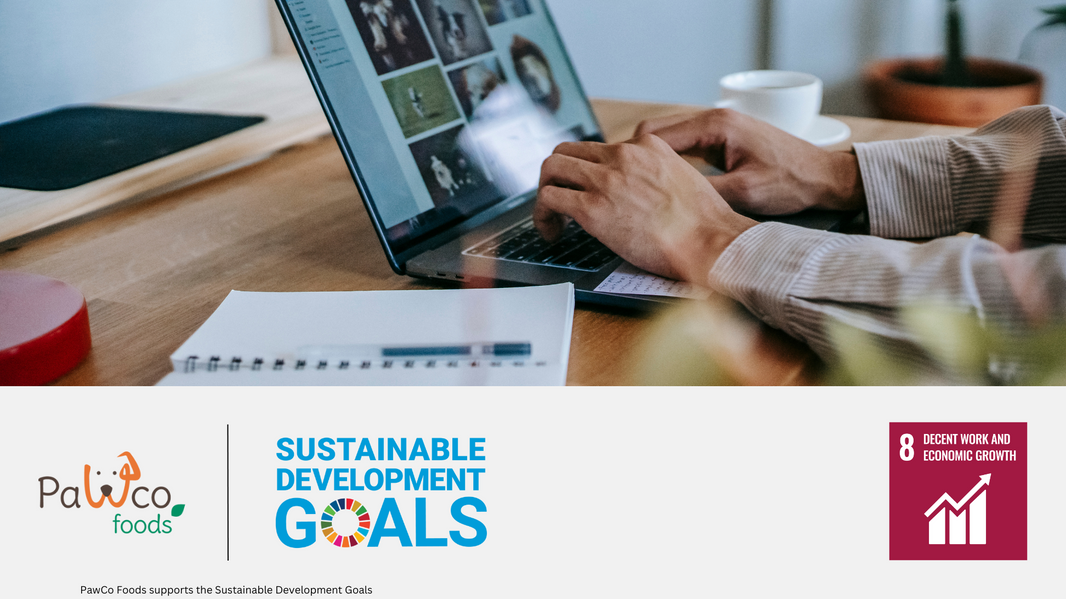 PawCo and SDG8: Decent Work and Economic Growth