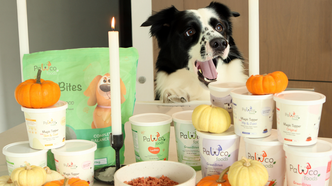 PawCo’s Season of Deals – Gift Health, Save Big This Winter