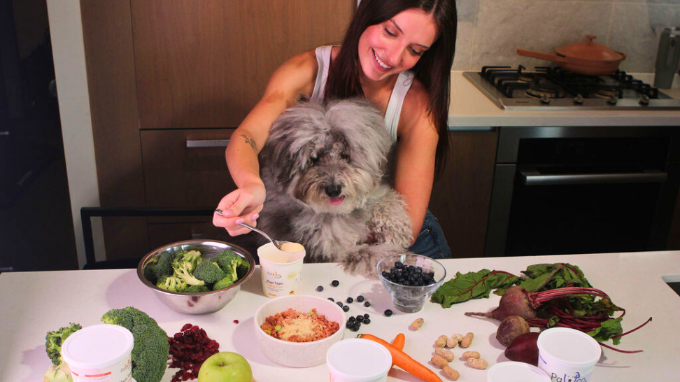 The Rise of Humanization in Pet Food & PawCo’s Role