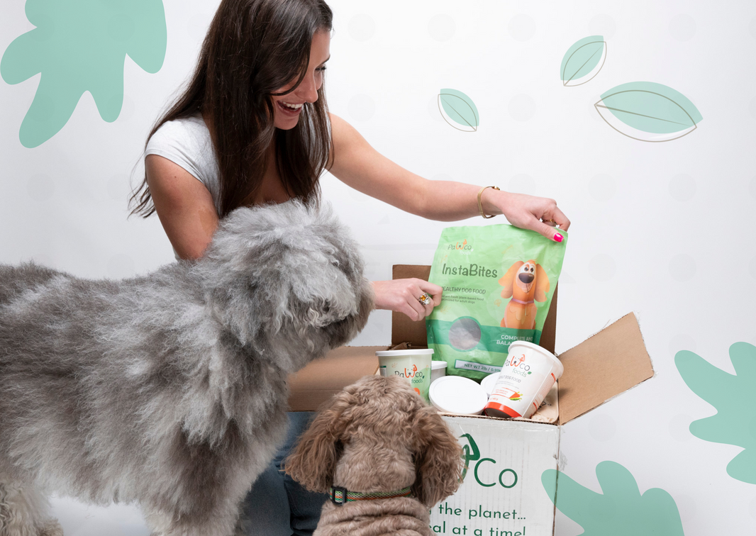 Discover Your Dog’s Favorite Meal with Our Variety Boxes