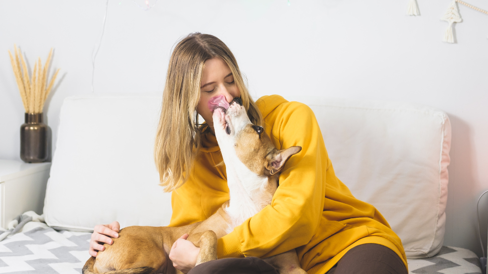 Why Does My Dog Lick Me? Decoding Doggy Kisses