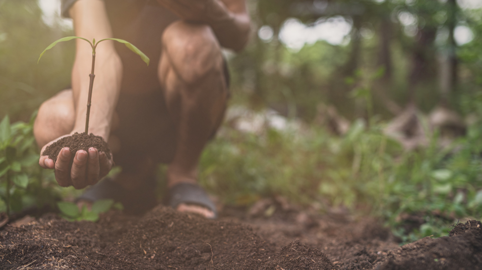 World Environment Day 2024: Join #GenerationRestoration!