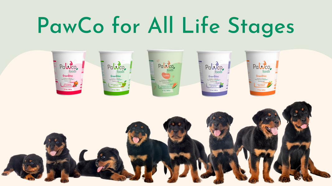 New LuxBites and GreenBites Formula: Now for All Life Stages